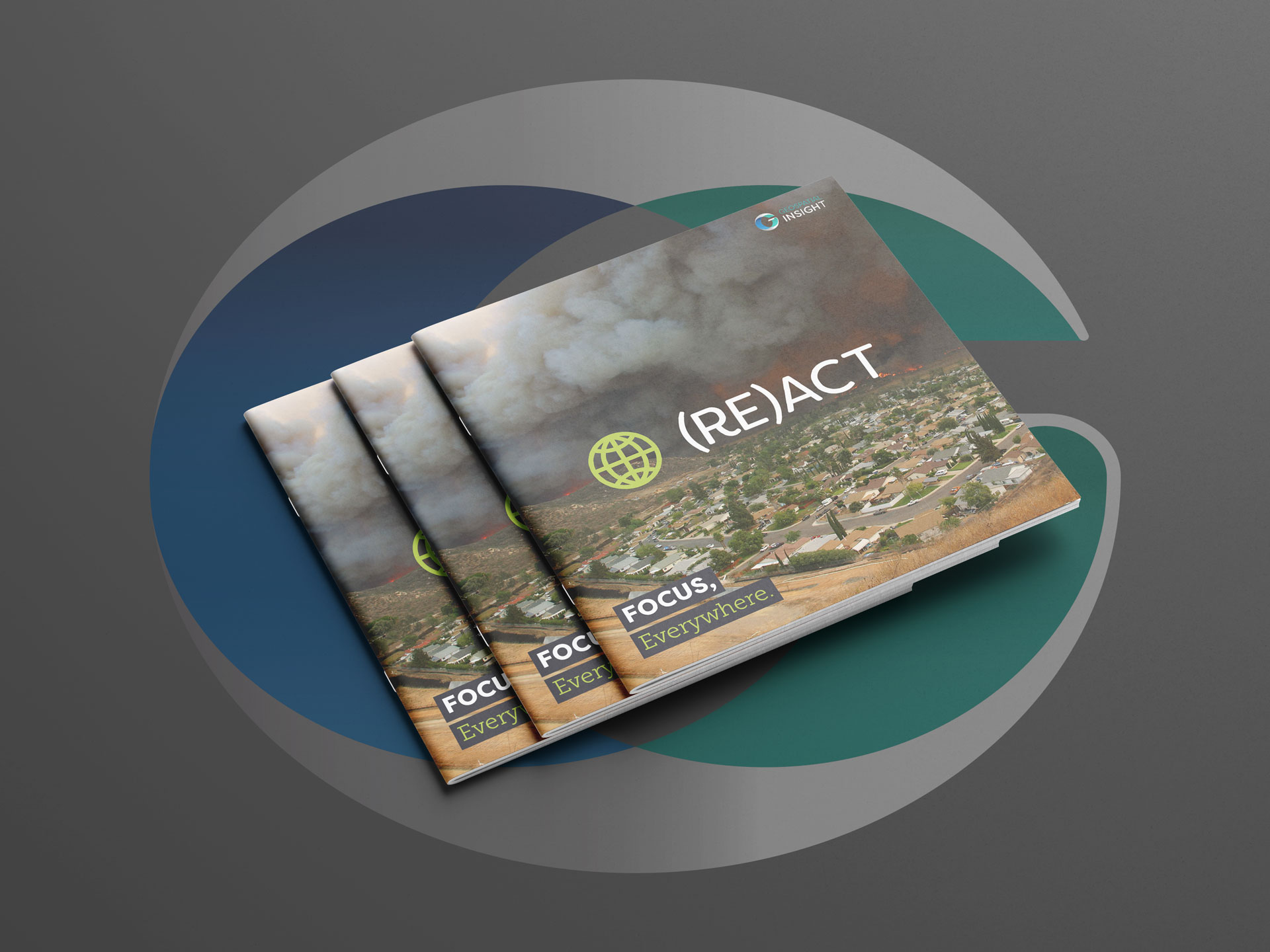 A mock up of a brochure for (RE)ACT showcasing our catastrophe response abilities.